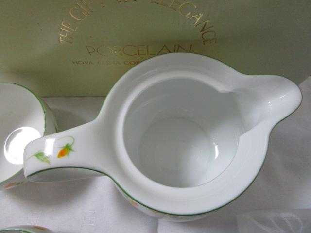 HOYA Honey Bone ���_�����푵 �|�b�g&�J�b�v5 ���F�̃r�I���� ��CHINA CORDIAL COLLECTIONS TGK0678 �̎ʐ^8