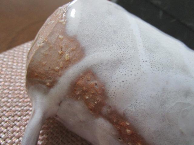 �u��� �}�O�J�b�v (��) ���g�p �̎ʐ^6