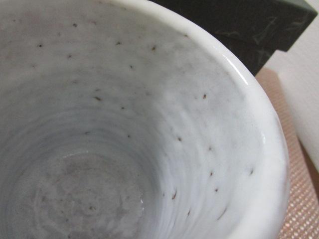 �u��� �}�O�J�b�v (��) ���g�p �̎ʐ^9