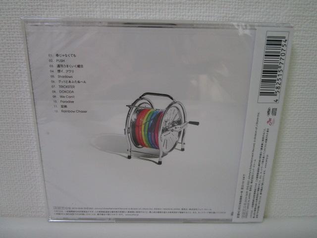 CD rainboW (ʏ) Wj[YWEST vX VNJ ̎ʐ^3